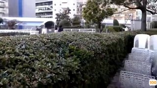 【黃播界小痞幼】 超高顏值純欲系美女 ，吊帶短裙跳小騷舞 ，脫光光掰開多毛騷穴 ，特寫揉搓陰蒂